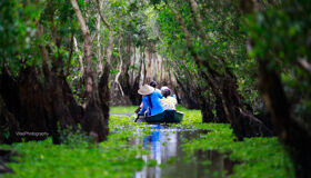 image-45